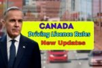 Canada Driving Licence Rules 2025 for Seniors 65 New Updates Renewal Process & Key Changes from September